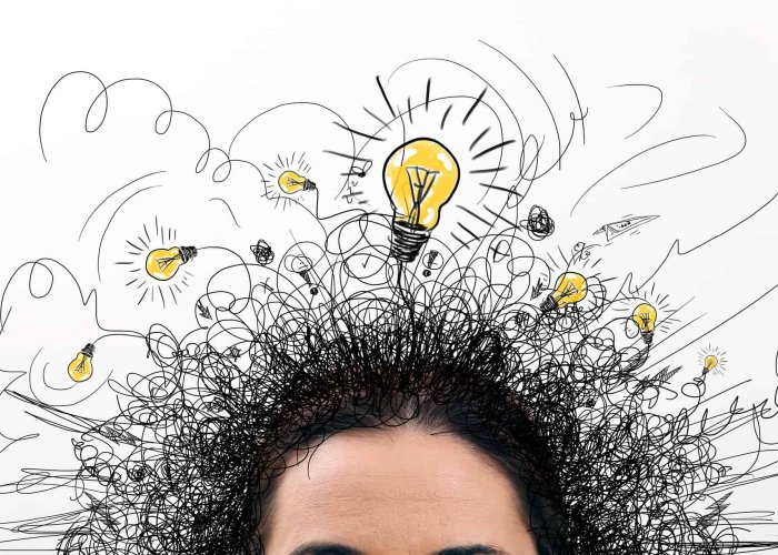 Infos et intox sur l’intelligence