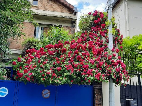 ART CLOWNESQUE SAMOVAR