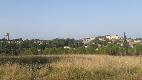 RENCONTRES ATYPIQUES CASTRIES N° 1