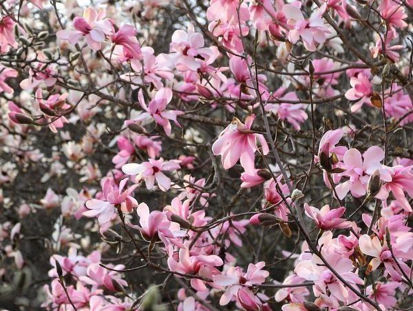 Rencontre dans la nature