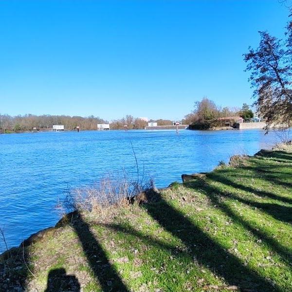 Pique nique au grand air !