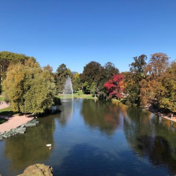 Pique nique, Jeux et Chill
