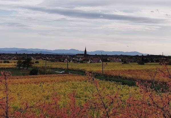 Balade en Centre-Alsace aux châteaux de l'Ortenbourg et de Ramstein.