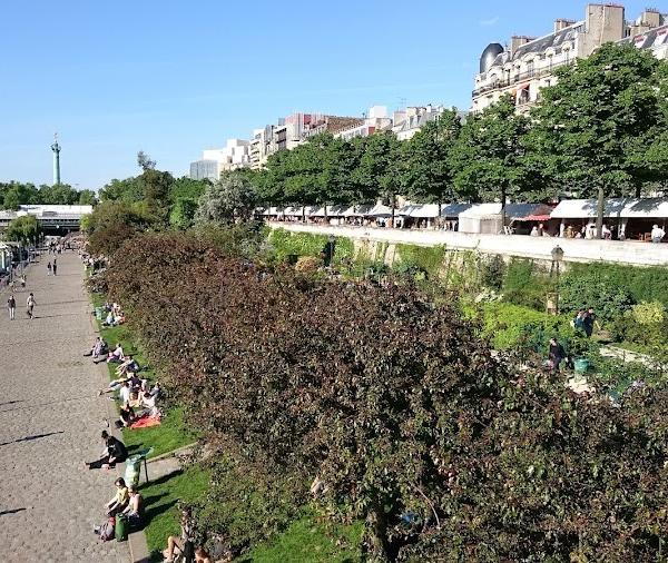 Pique-nique au jardin du port de l'Arsenal