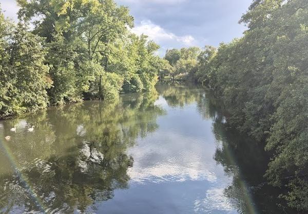 Walk & Talk : balade au parc naturel urbain