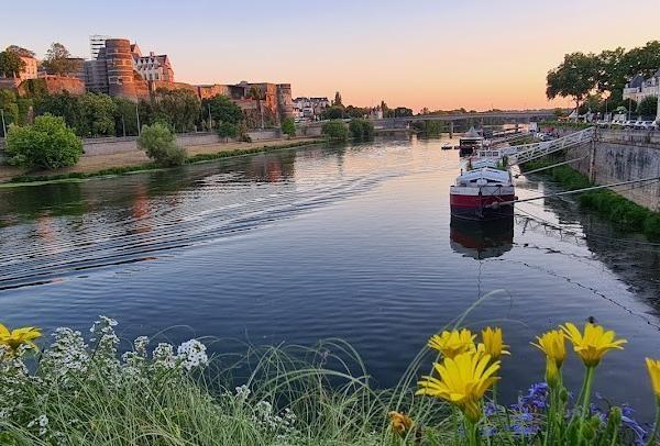 C'est le printemps !