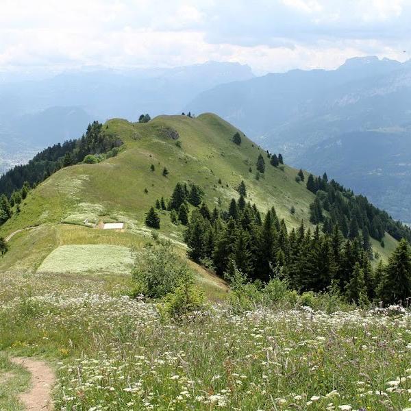 Randonnée : ascension du Môle