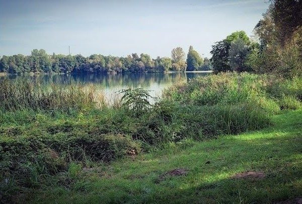 Peaceful tree-lined riverbank in Illkirch-Graffenstaden