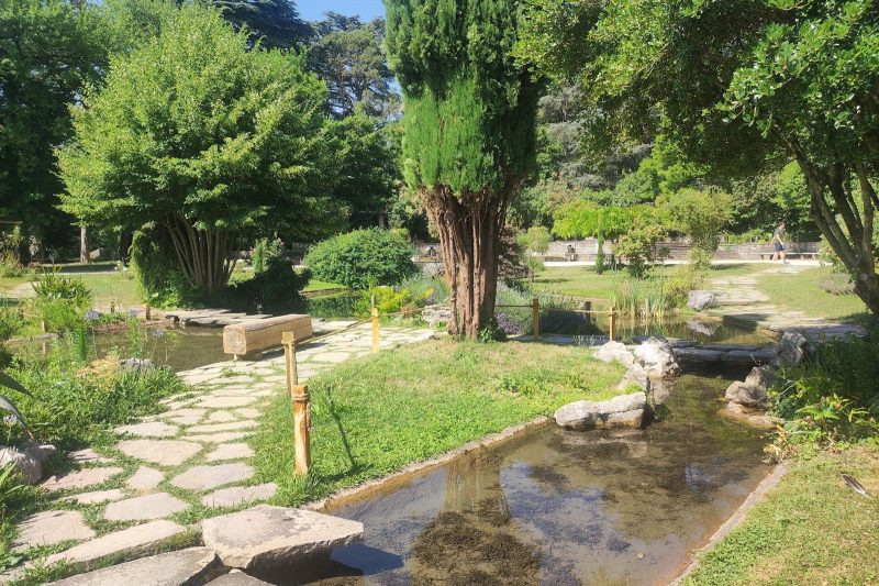 Peaceful garden in Lyon’s Parc de la Tête d’Or