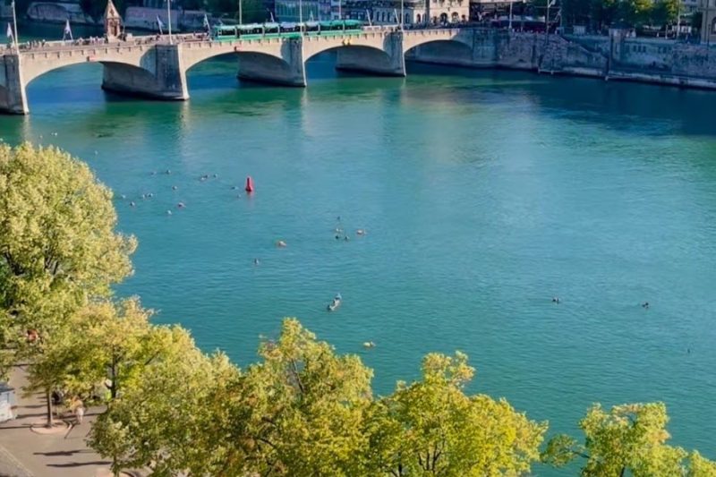 The Rhine and a bridge in central Basel