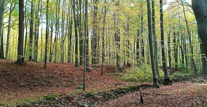 La Dictée de la rentrée