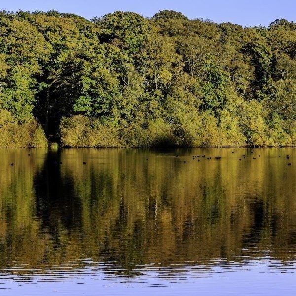 ET téléphone maison épisode 2 balade autour du lac, gouter et jeux