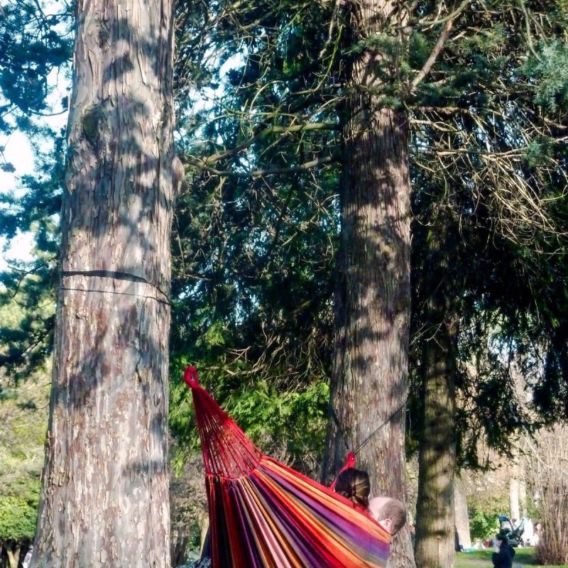 Les oiseaux du parc Montsouris + pic-nic