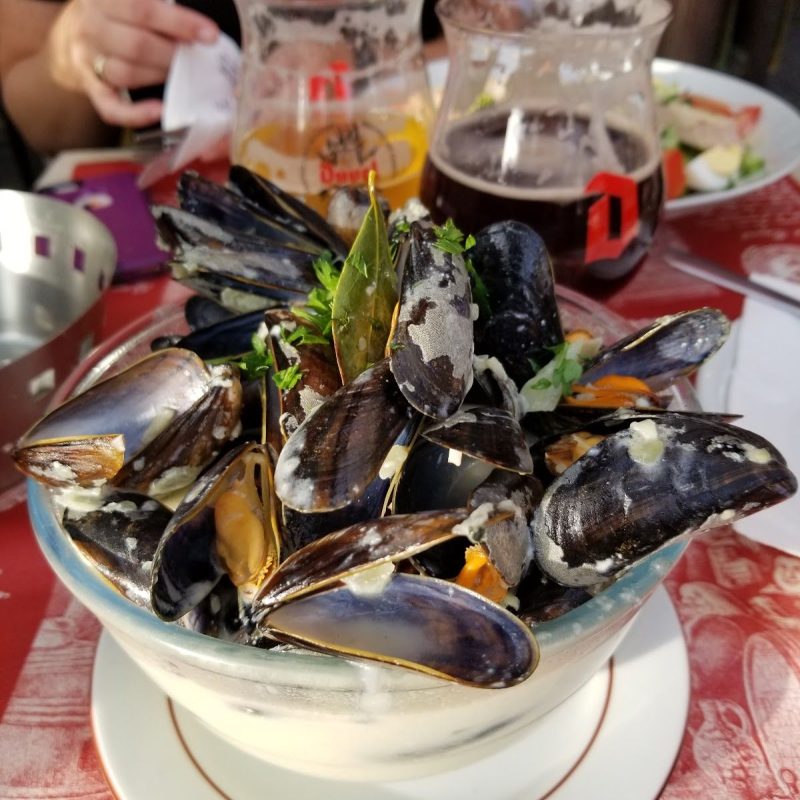 Tarot et autres jeux à l'académie de la bière port royal