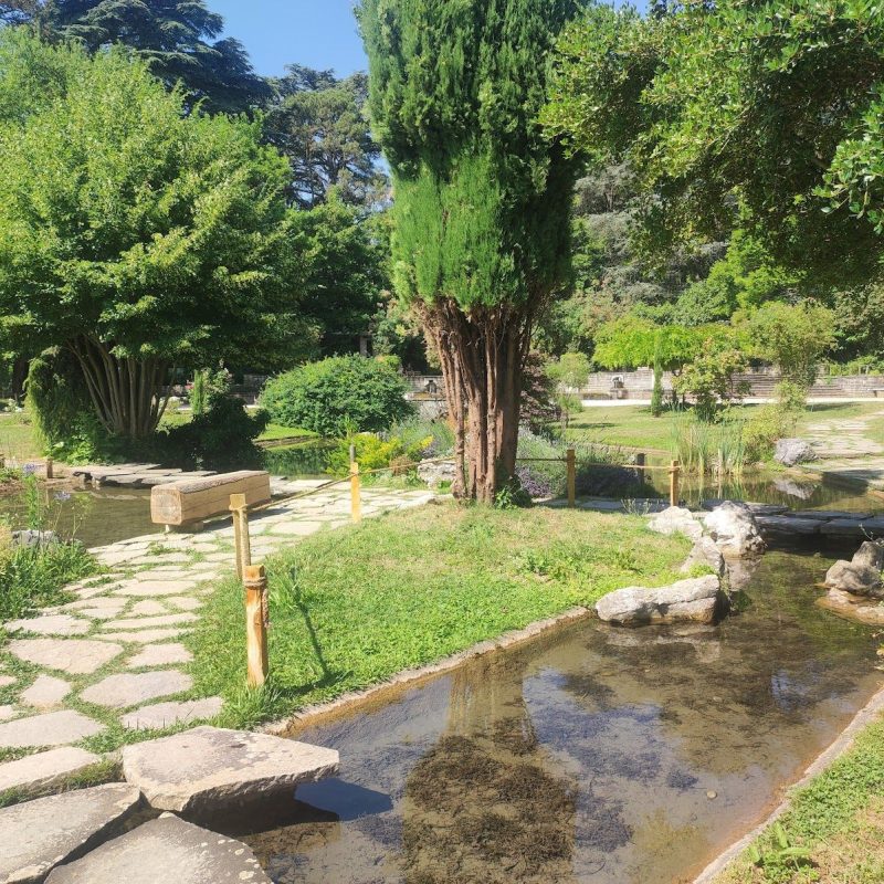 🌳 Balade conviviale au Parc de la Tête d'Or
🌳