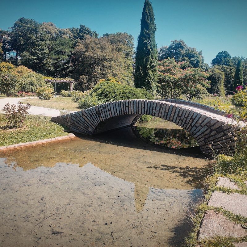 🌳Balade au parc & pause partage autour de la spiritualité✨️